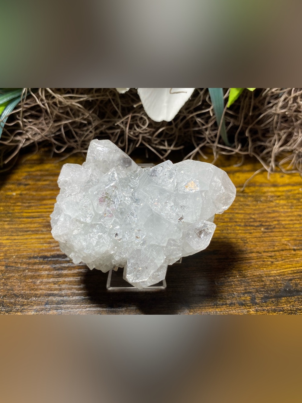 Apophyllite Stalactite Cluster